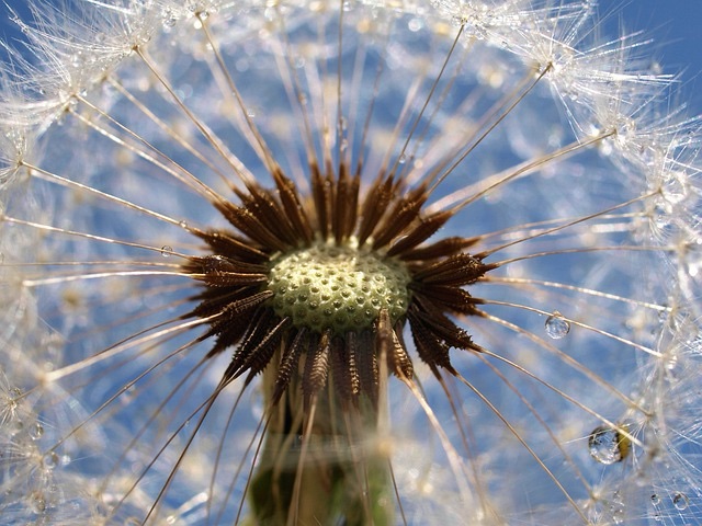 “Humility, surrender, and…”