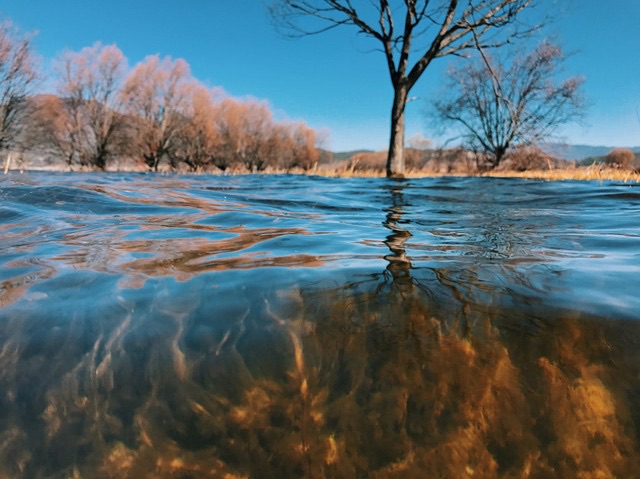 “Know thyself, realize the&nbsp;Self.”