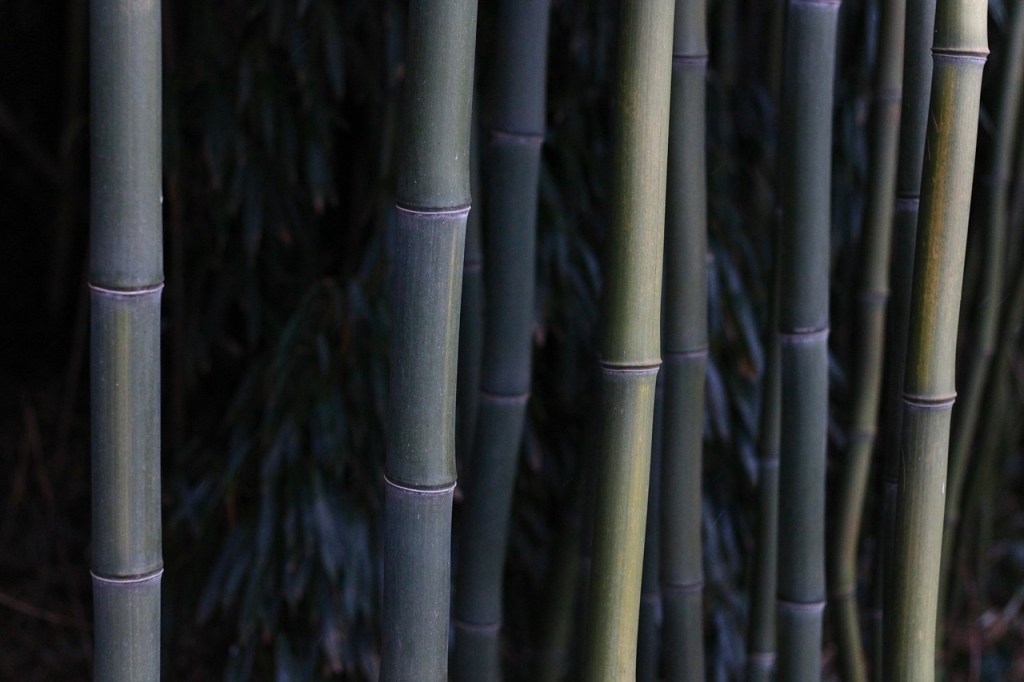 “Transcendence.”