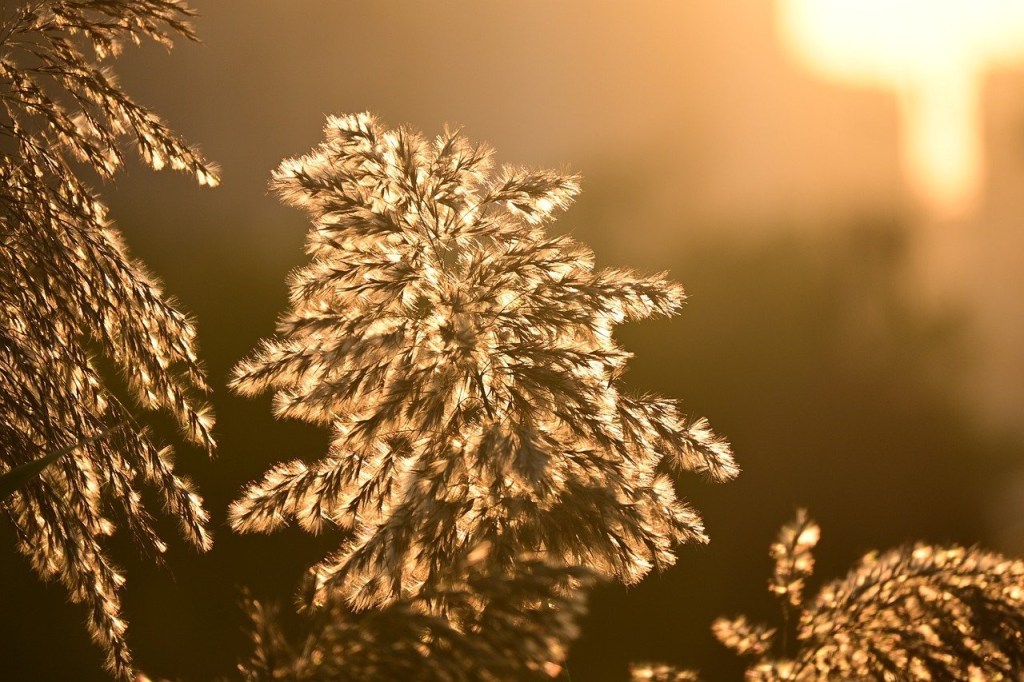 “Stop thinking.”