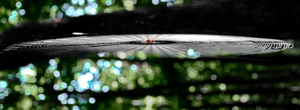 “The importance of making&nbsp;mistakes”